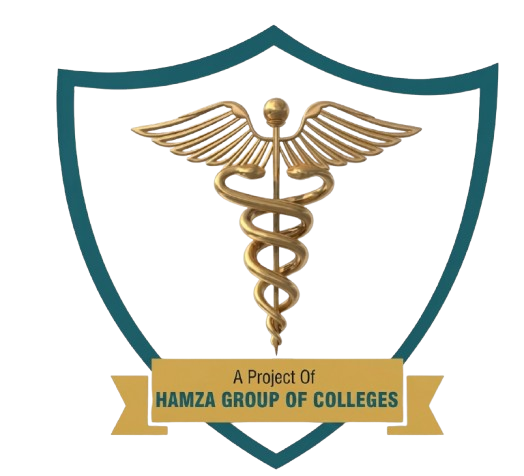 HAMZA GROUP OF COLLEGES